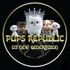 pupsrepublicusa