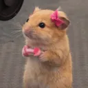 @denniirl