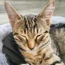 @advertb7