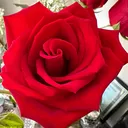 @lucyluna037