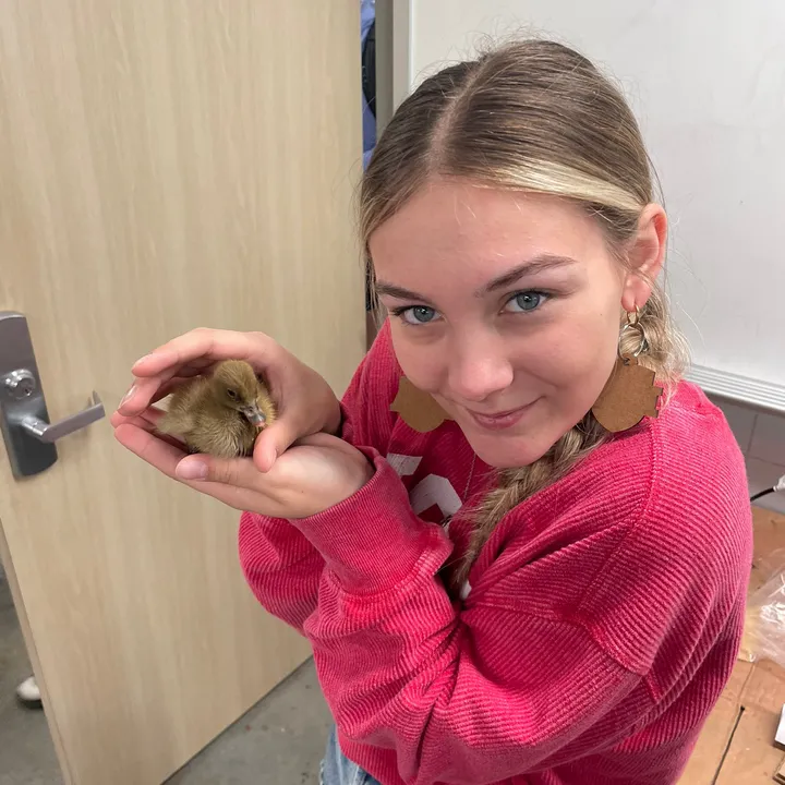 @alyssa.vlogs.247