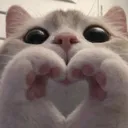 @xnuwii