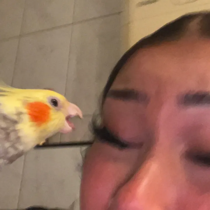 nafriate