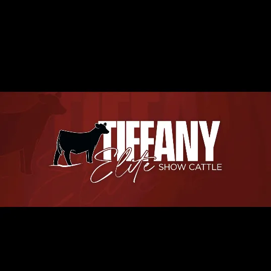 @dustin.tiffany