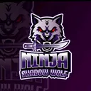 @n1nja_shad0ww0lf