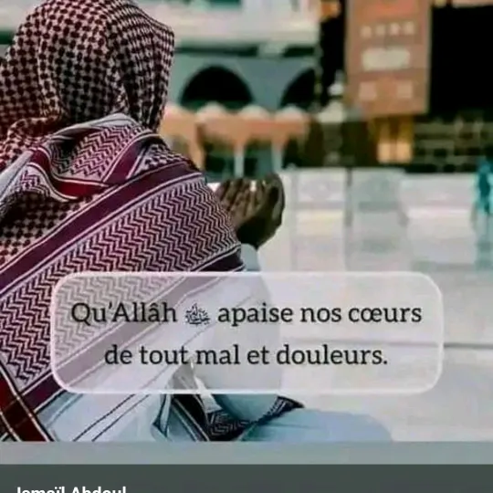 @didjasanfo
