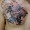 leonel18041999