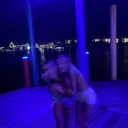 @mdupriest.pt2