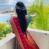 vee_13060