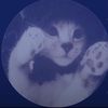 kittymi6ww_