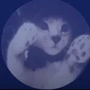 @kittymi6ww_