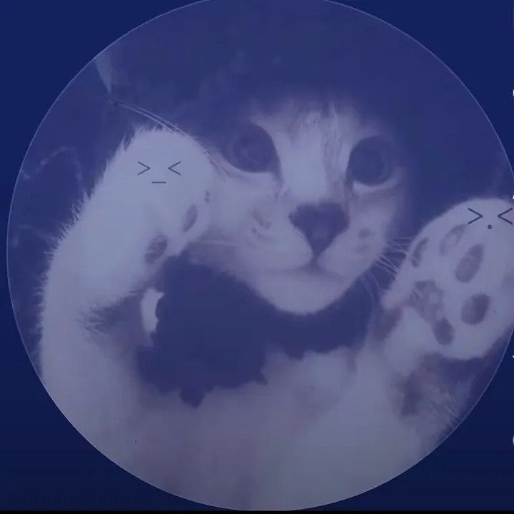 @kittymi6ww_