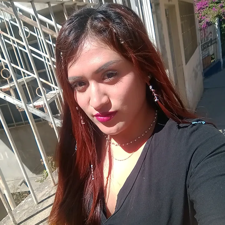 neveg24