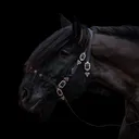 @untraitdecheval