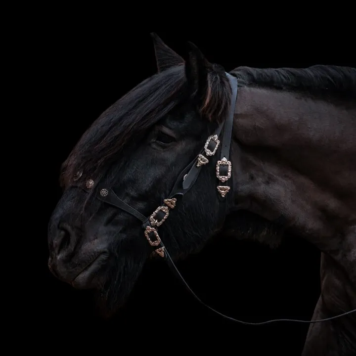 untraitdecheval