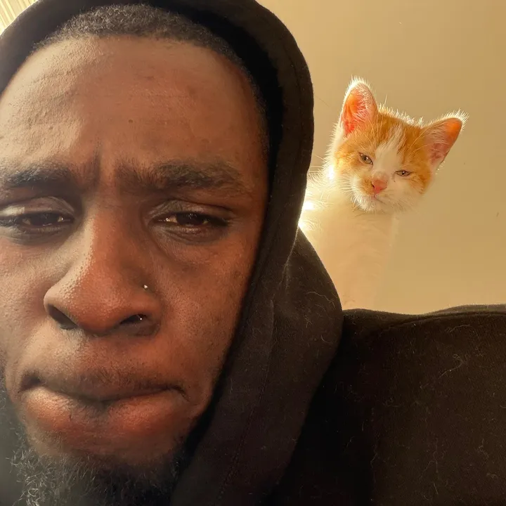 theblackcarguru