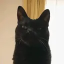 @n0t.my.secret.acc2