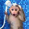 monkeydon07