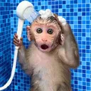 @monkeydon07