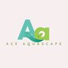 ace.aquascape