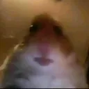 @iowkeypenguin