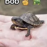 @bluududebetter