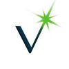 vileonconsulting