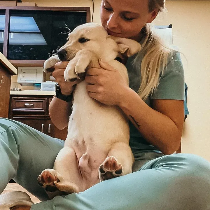 @exoticvettechs