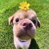 cuteandfunny8888