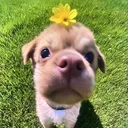 @cuteandfunny8888
