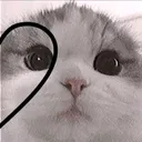 @lifelessraven