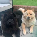 @thesmithchows
