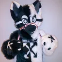 @tiko.wolf