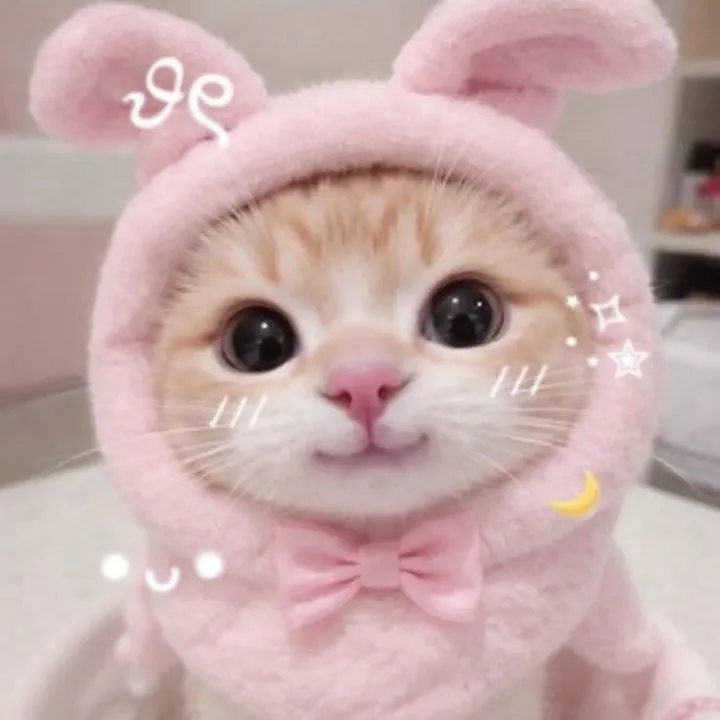@pariiskatt