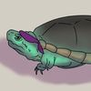 tortuga6122