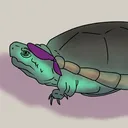 @tortuga6122