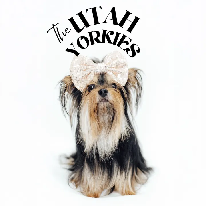 theutahyorkies