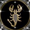 ali.mohamed5763
