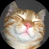 jaycoblawyer7