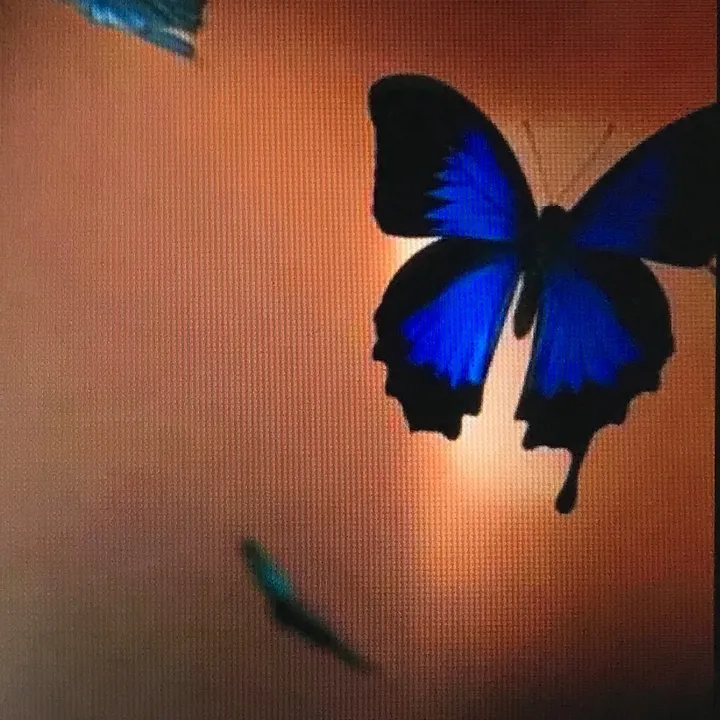 mjghyj3gj