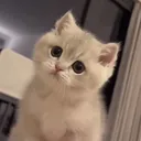 @jbrhdx