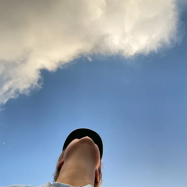 @halesbop