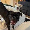 sunnyandquinn