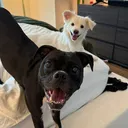 @sunnyandquinn