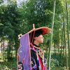 koikaidao