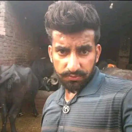 honeysinghgujjar5911