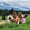 @hundeprofi.alex