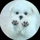 @tbnnij