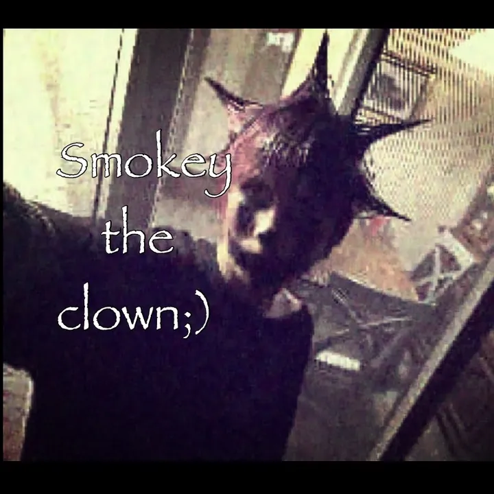 @smokeytheclown.sc