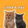simbaandmaxthecats